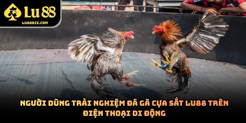 Đá Gà Cựa Sắt – Hình Thức Giải Trí Trực Tuyến