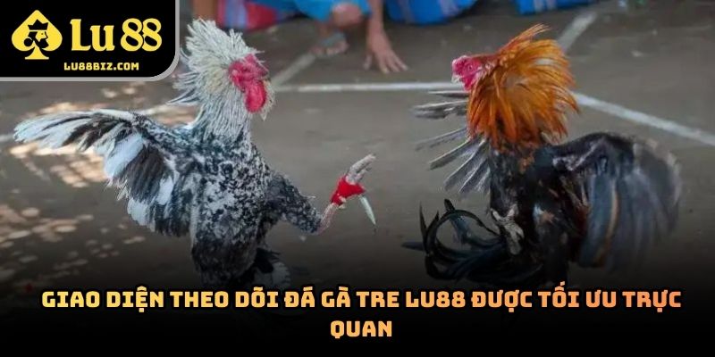 Đá Gà Tre – Hình Thức Giải Trí Trực Tuyến  Lu88